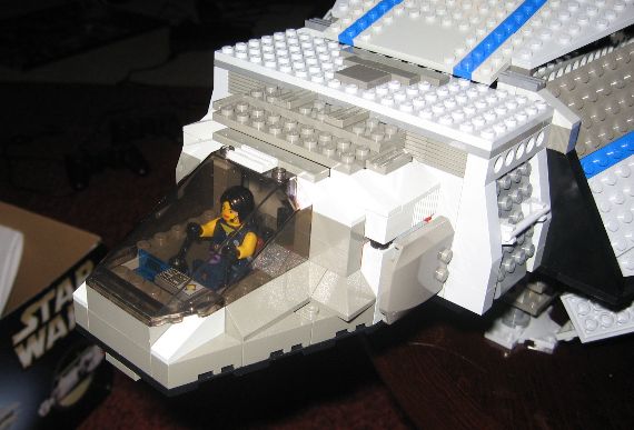 flying_turtle_011.jpg