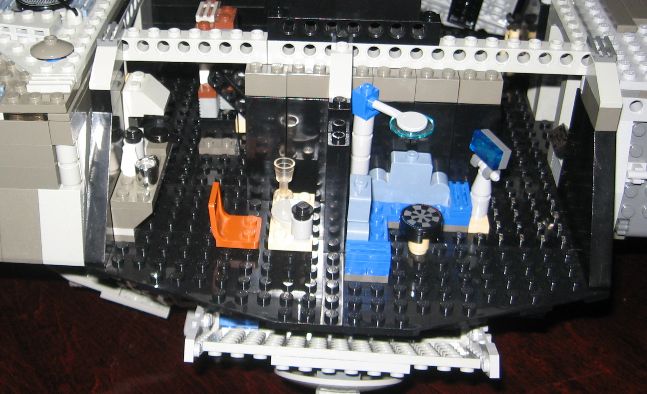 flying_turtle_016.jpg