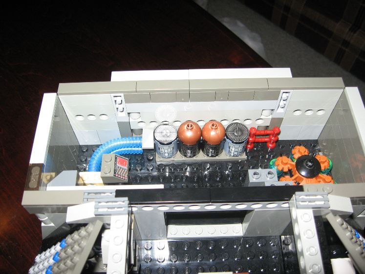 flying_turtle_024.jpg