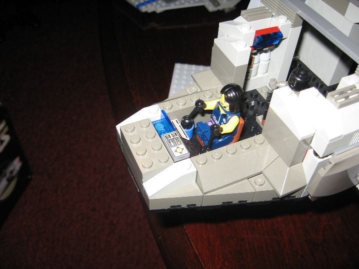 flying_turtle_030.jpg