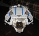 flying_turtle_002.jpg