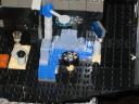 flying_turtle_017.jpg