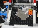 flying_turtle_020.jpg