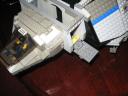 flying_turtle_028.jpg