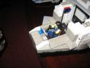 flying_turtle_030.jpg
