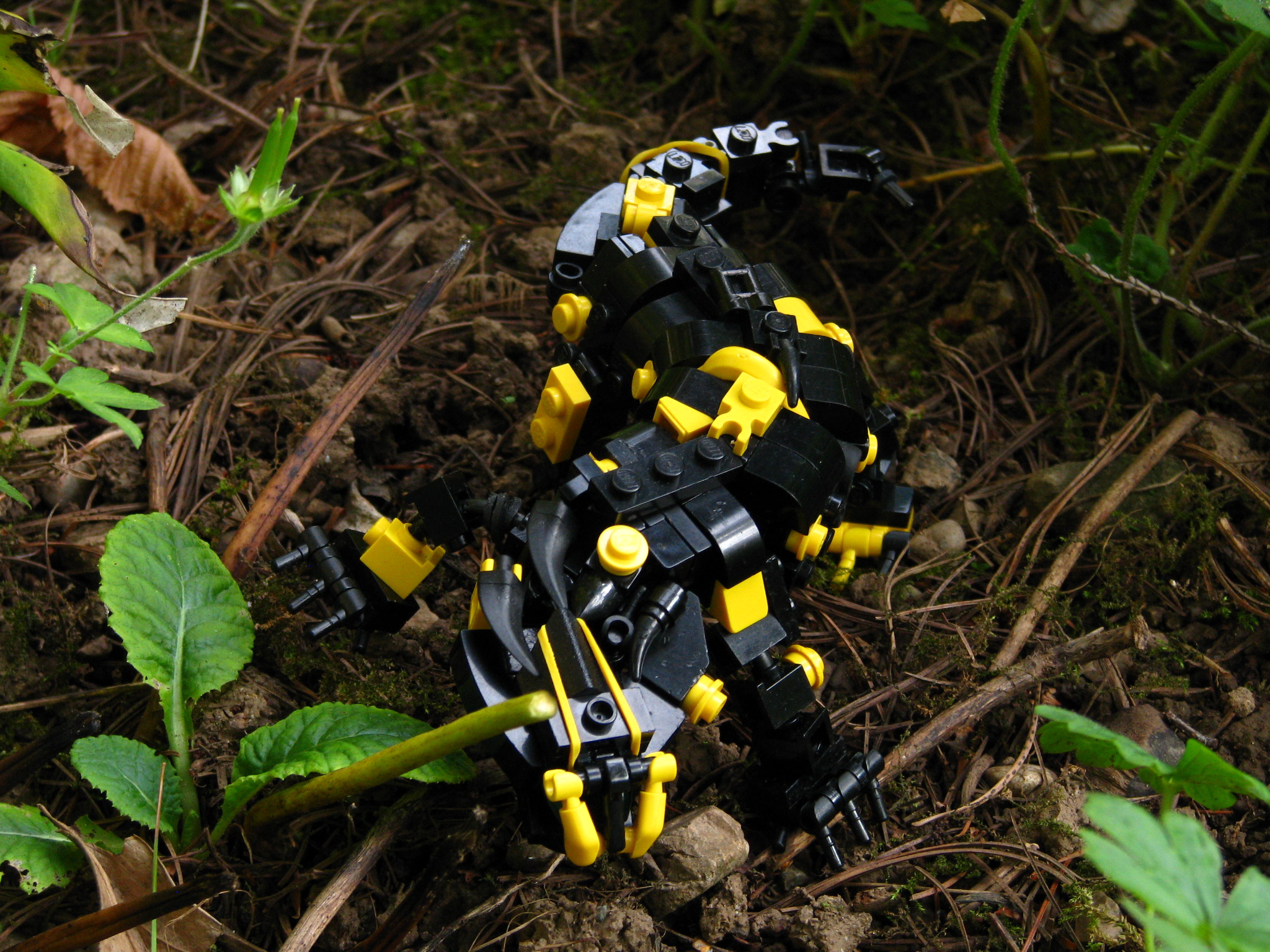 lego4_307.jpg