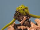 lego2_066.jpg