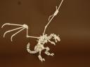 img_2325-rs.png
