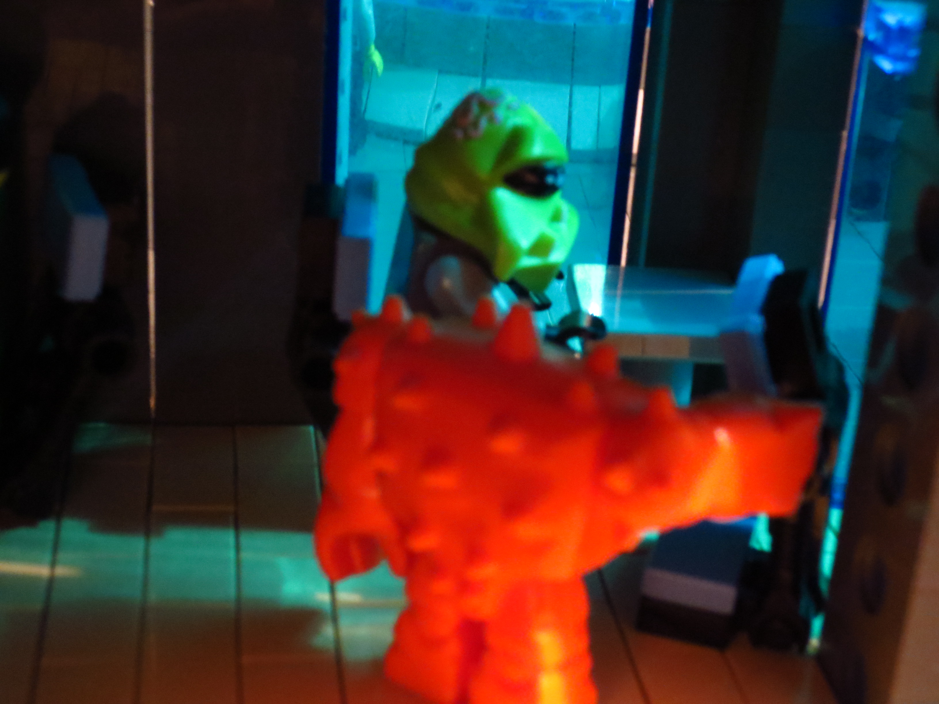 352.jpg