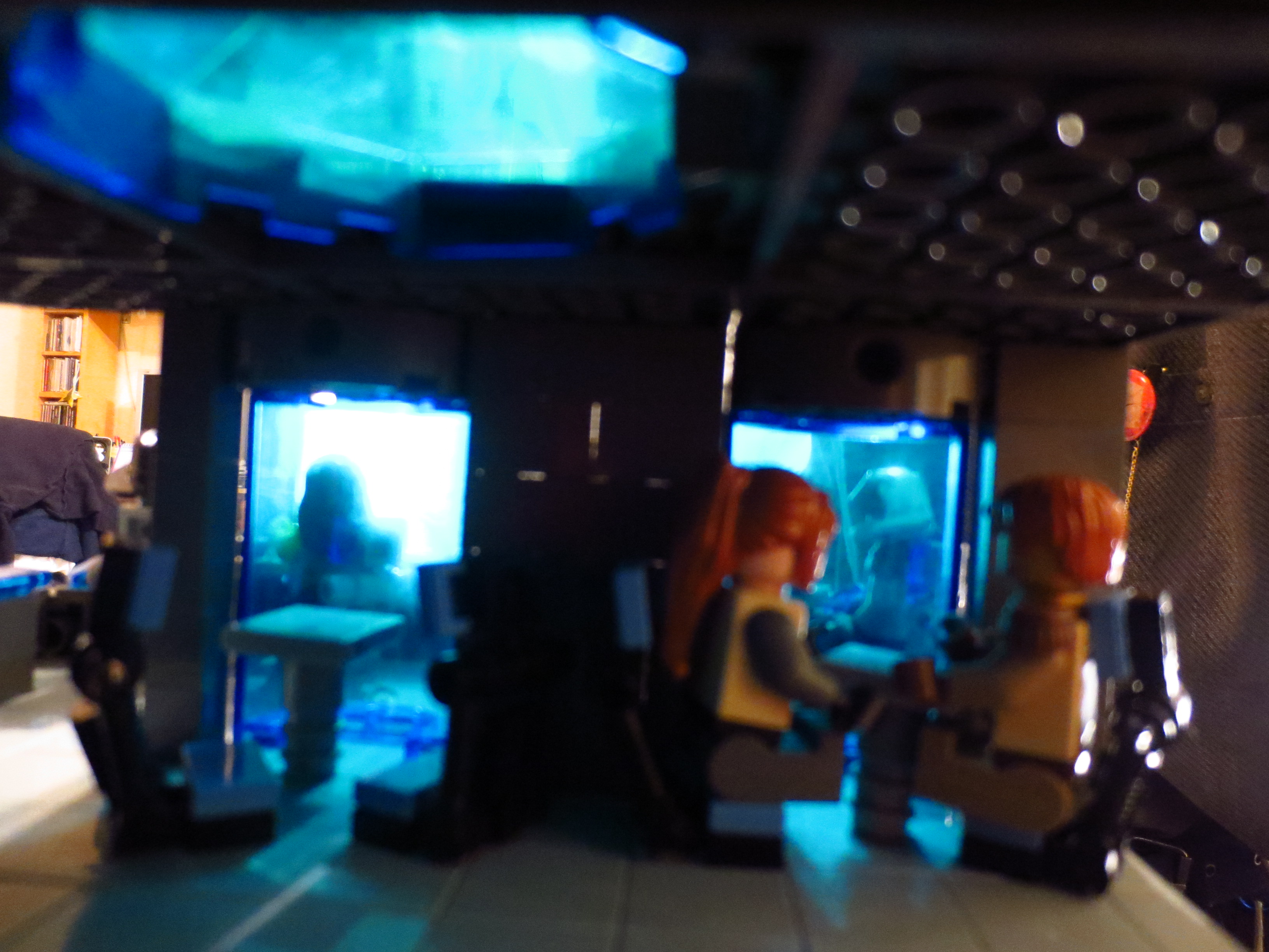 353.jpg
