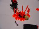 dsc01408.jpg