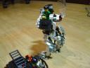dsc01336.jpg