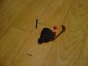 dsc01504.jpg