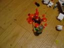 dsc01519.jpg
