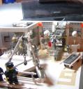 dsc05541.jpg