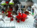 dsc03357.jpg