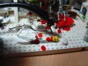 dsc03367.jpg