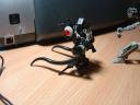 dsc04663.jpg