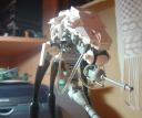 dsc07300.jpg