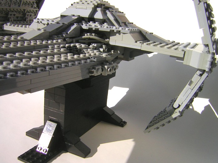 06.jpg