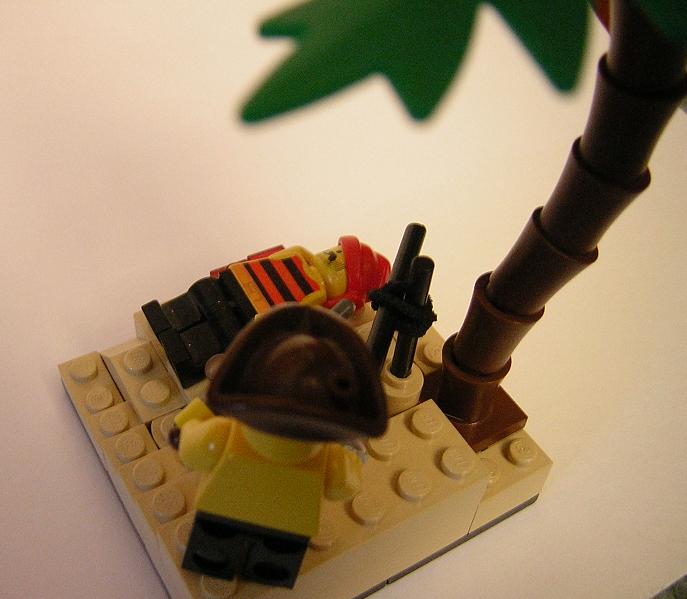 piratevig04.jpg