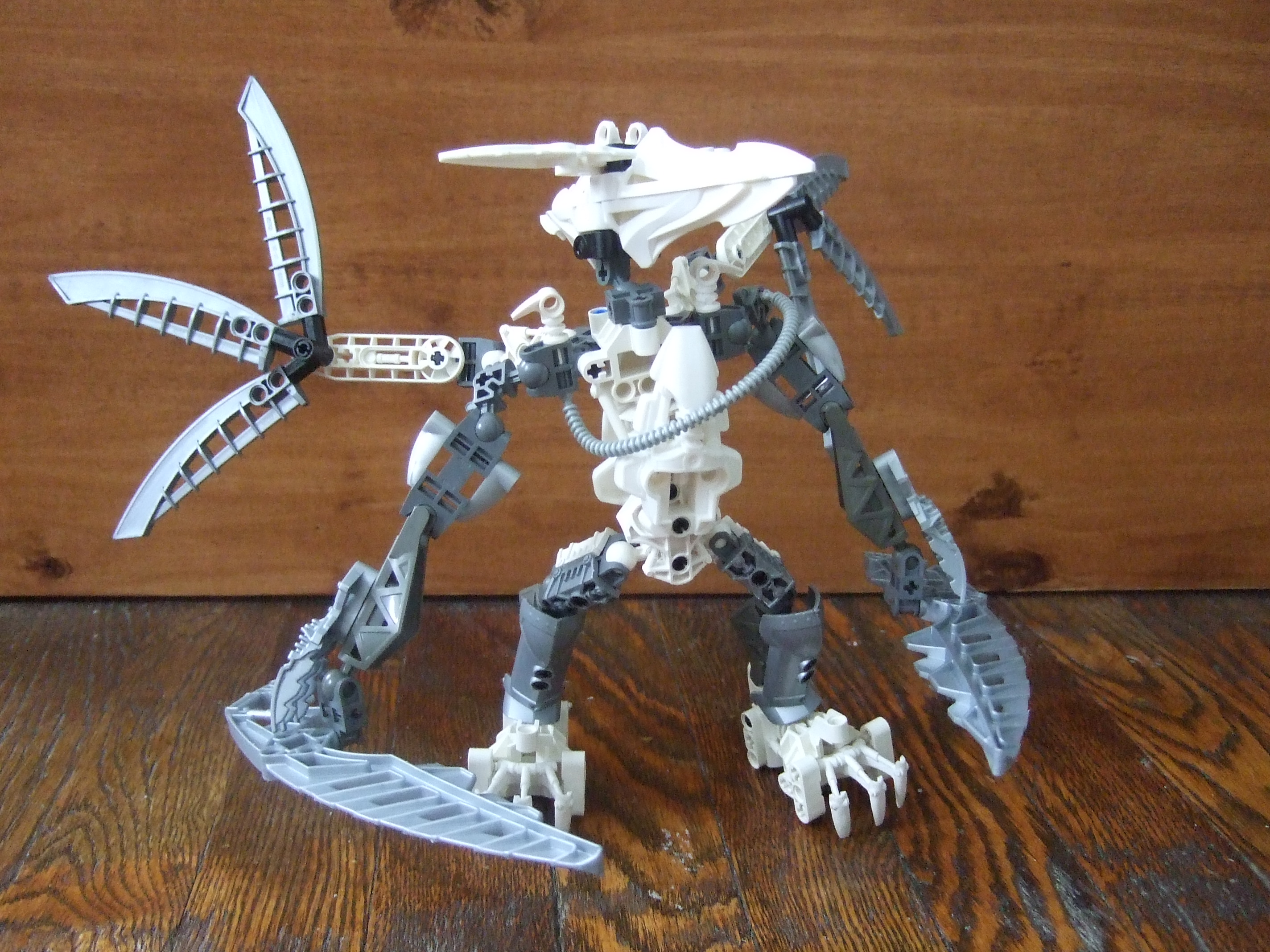 dscf1825.jpg