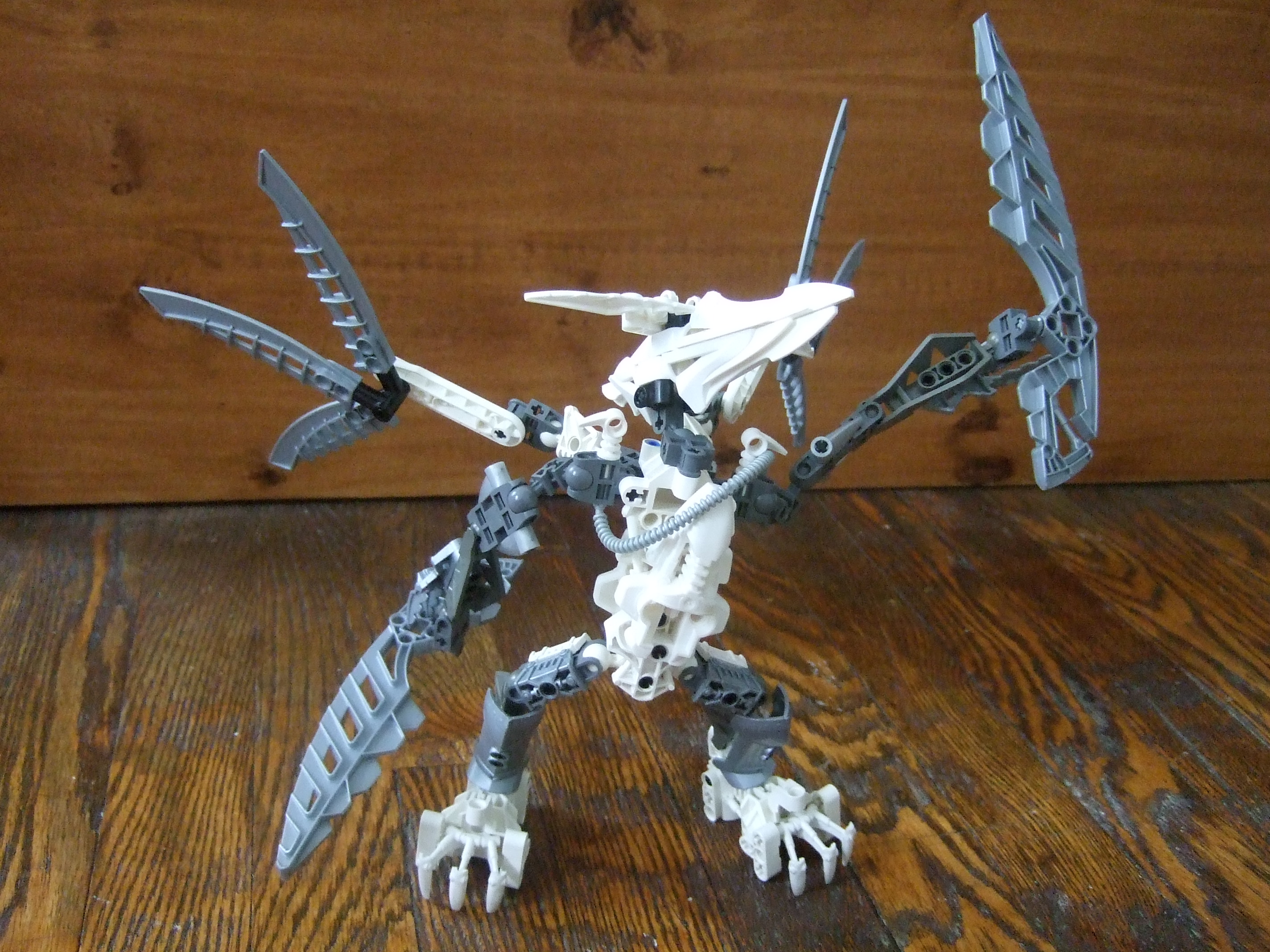 dscf1849.jpg