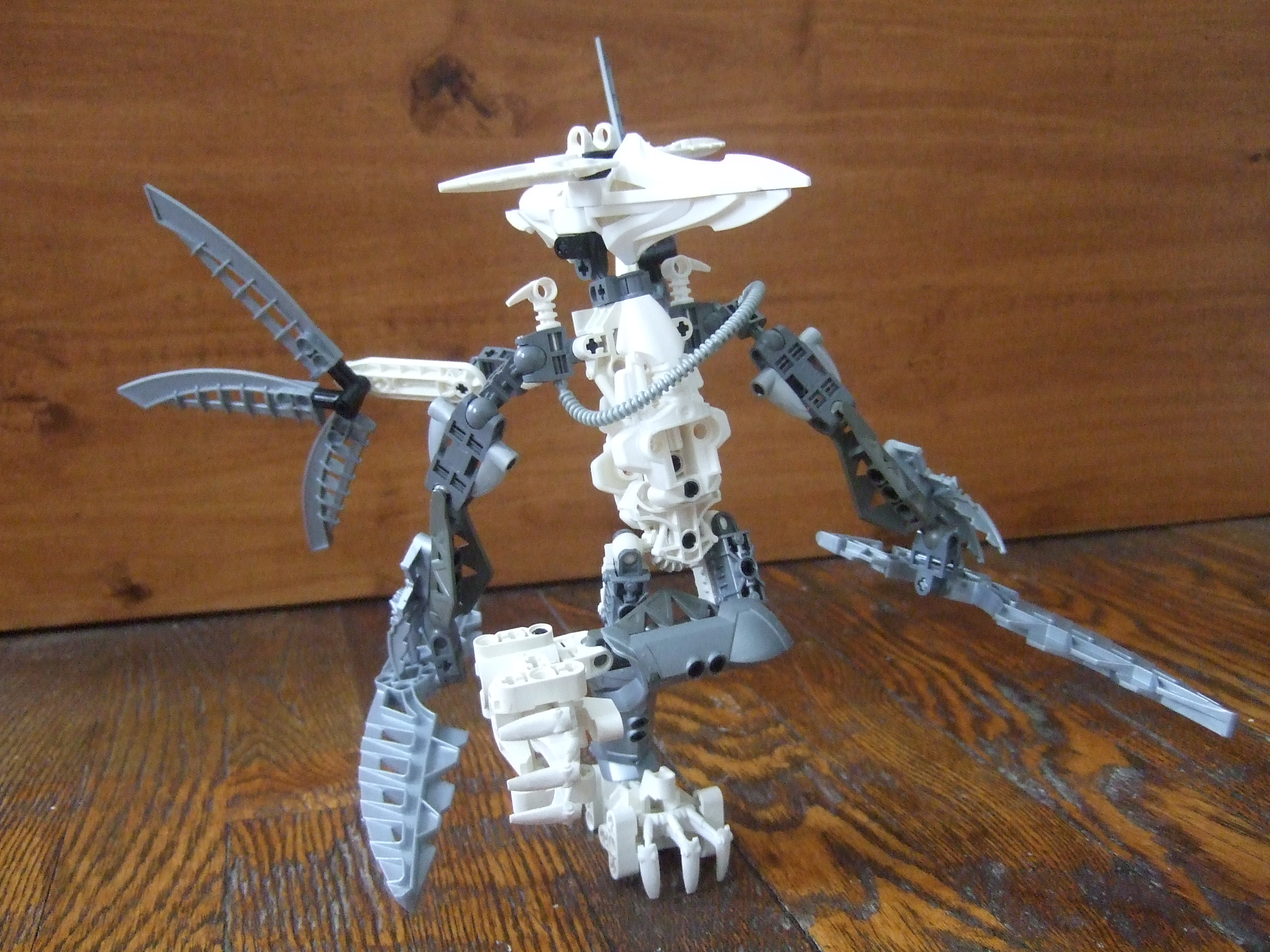 dscf1850.jpg