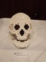 skull.jpg