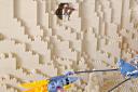 brickshelf9.jpg