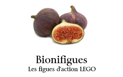 bionifigues.png