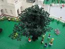 002_capitol_display.jpg