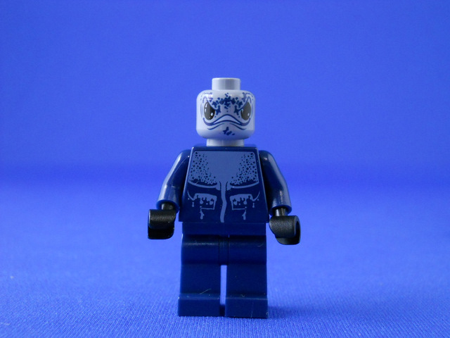 8073_06a.jpg