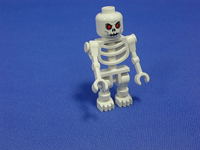 7090_03j.jpg