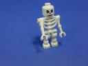 7090_03j.jpg