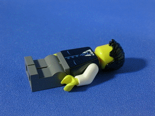 8402_10.gif