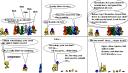comic9.gif
