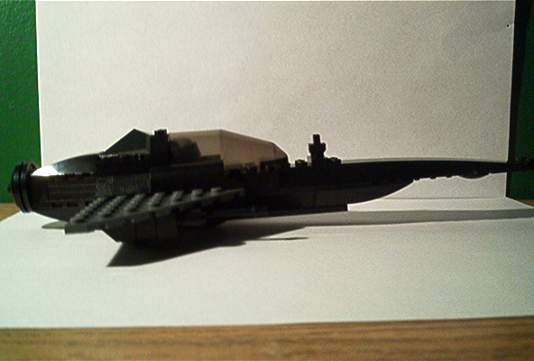 starf_005.jpg