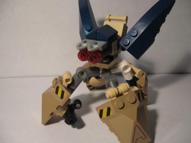 bugby_001.jpg