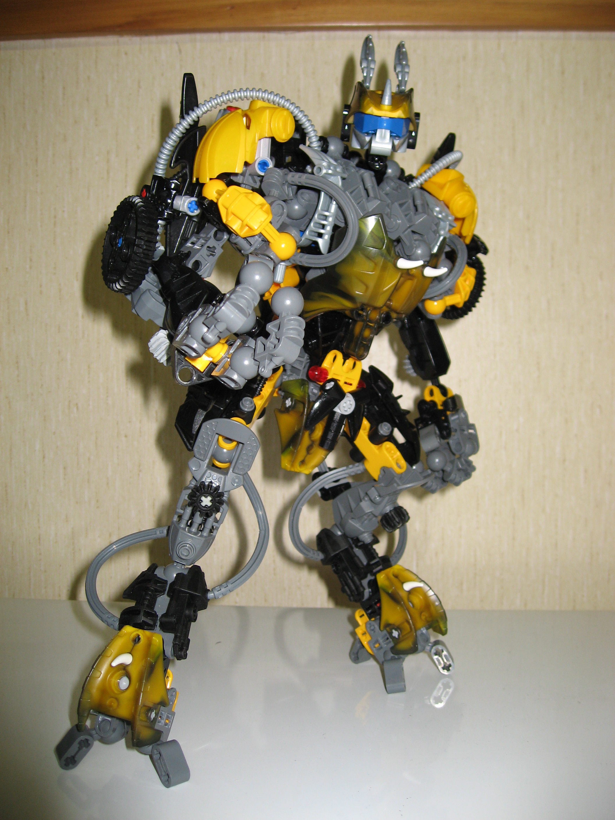 yellowjacket_001.jpg