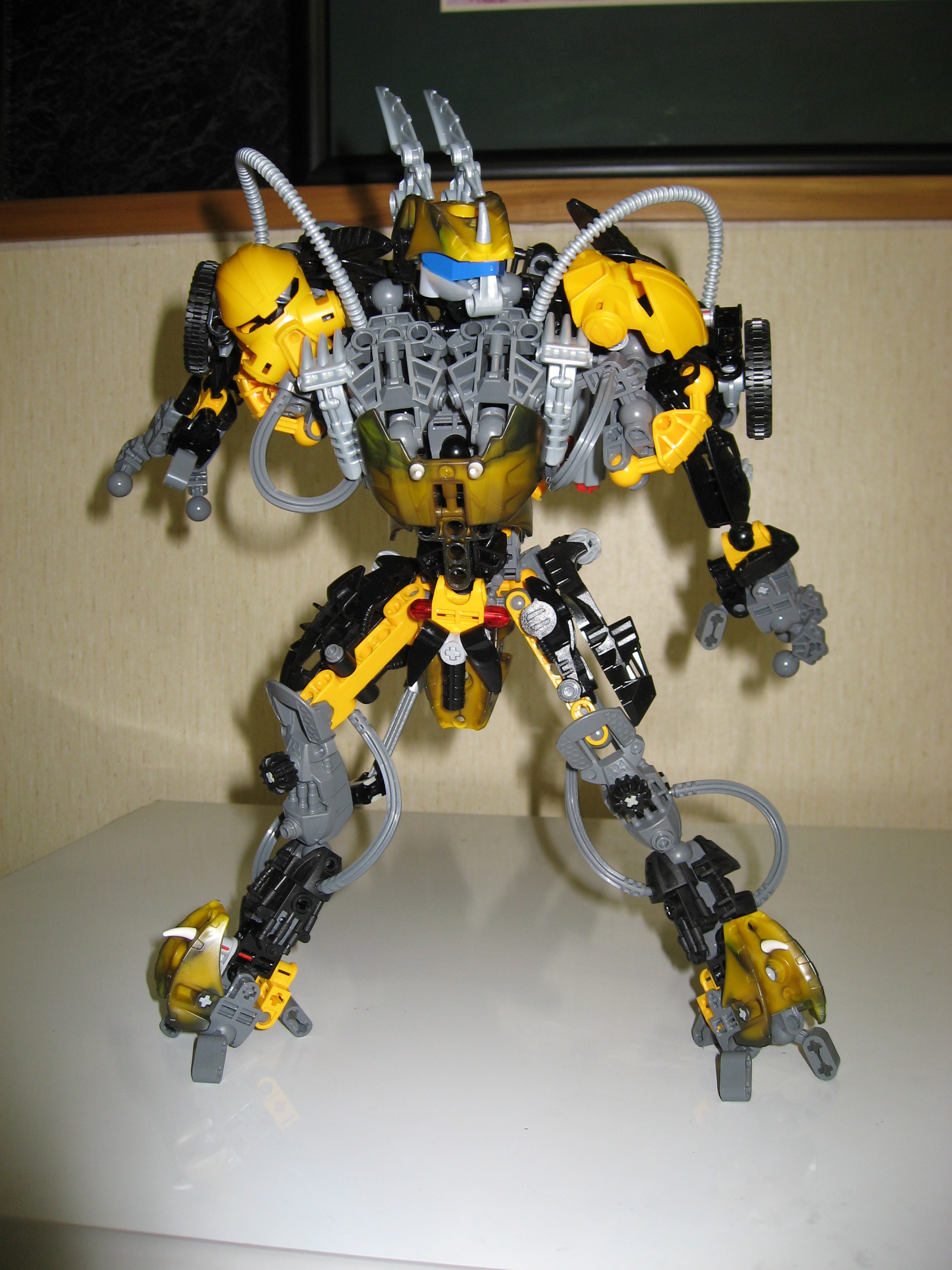 yellowjacket_005.jpg