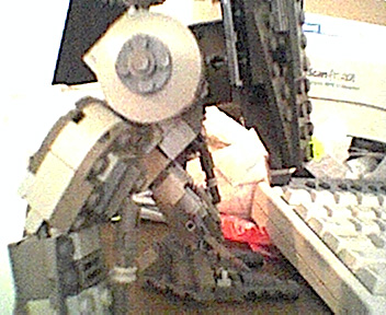 leg_side.jpg