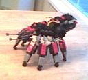 spiderlego-left.jpg