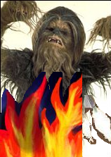 burn_chewbacca.bmp