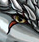 dragon_eye_avatar.jpeg