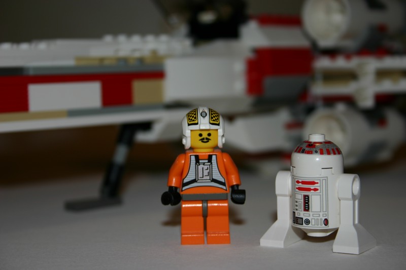 red_3_05_small.jpg