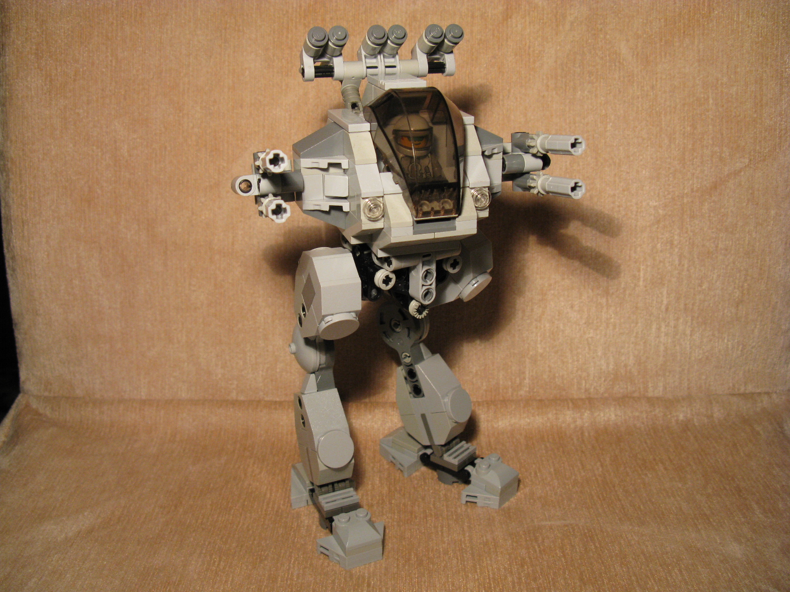 a_walker_1.jpg