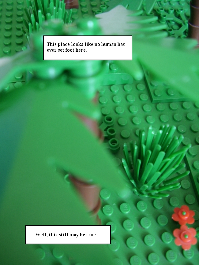 02.jpg