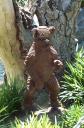 bear80.jpg
