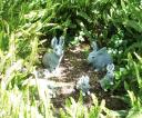 bunnies77.jpg